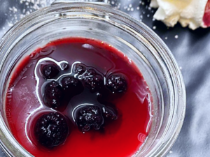 Pannacotta ai Frutti di Bosco